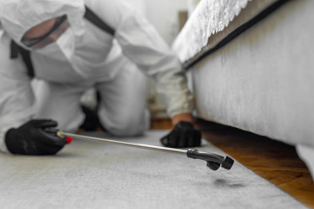 Professional Termite Control technician working in Columbia, TN