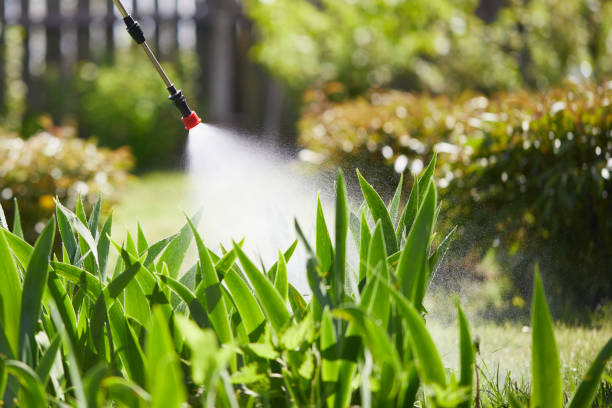 24/7 Emergency Termite Control experts in Columbia, TN