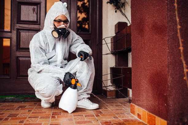 Reliable Termite Control contractor in Columbia, TN by Nex Pest Control